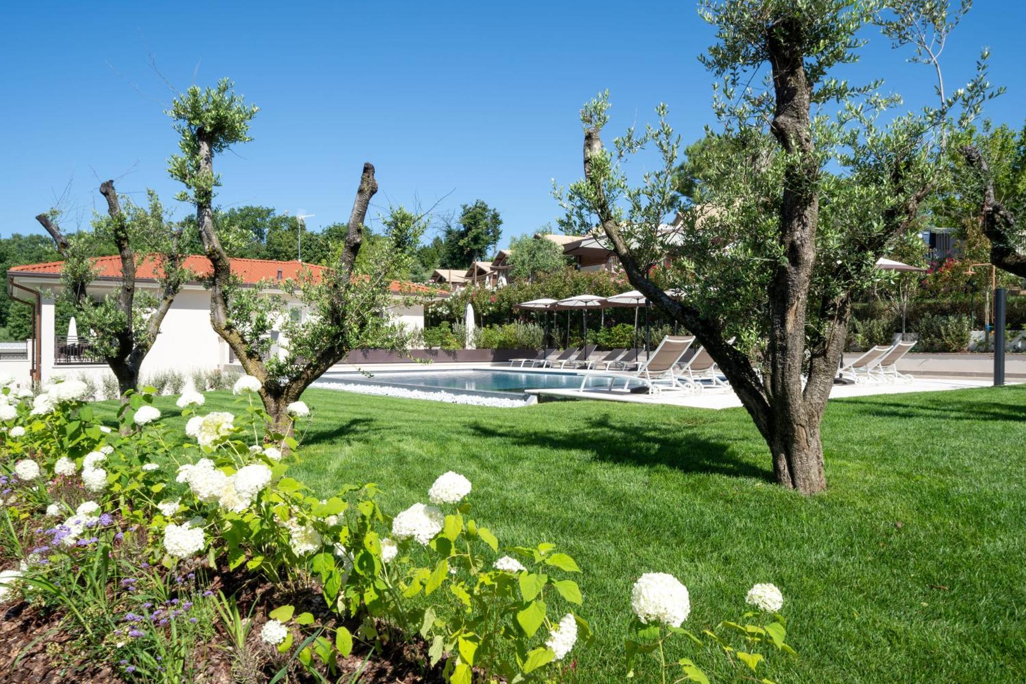 Villa Silvia Apartments San Felice del Benaco Exterior foto